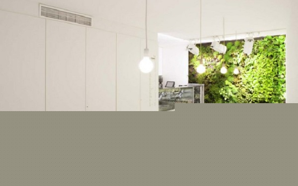 luxury garden