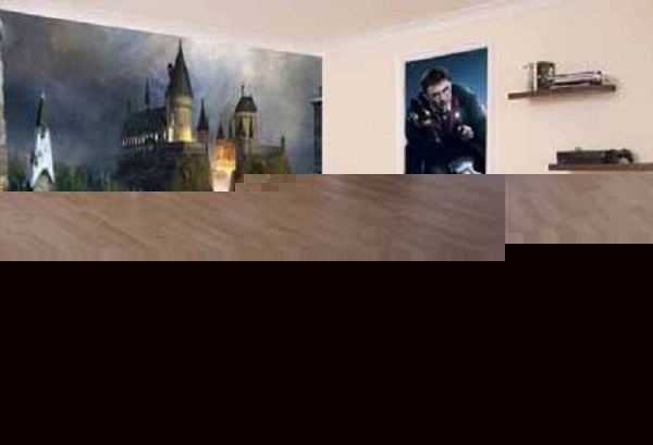Harry Potter Bedroom Decoraing (5) harry potter room